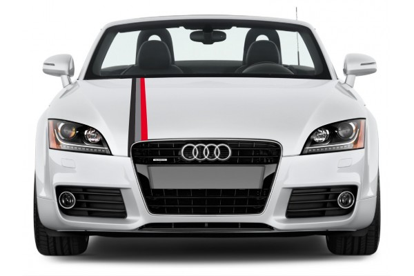 Audi Motorsport Rally pruga naljepnica 10cm x 125cm