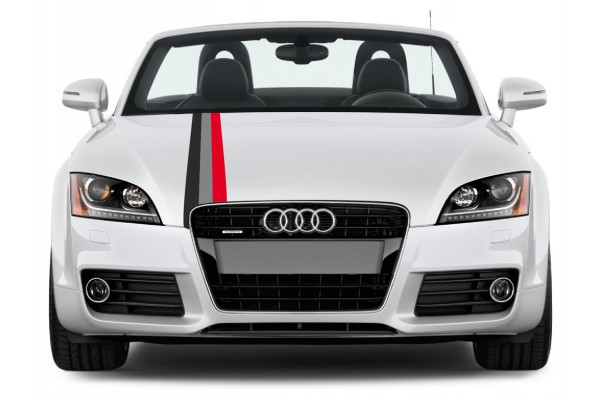 Audi Motorsport Rally pruga naljepnica 15cm x 125cm