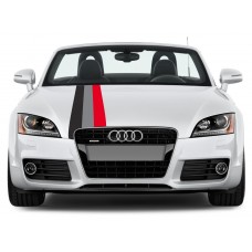 Audi Motorsport Rally pruga naljepnica 30cm x 125cm