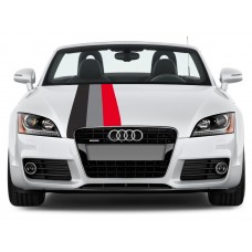 Audi Motorsport Rally pruga naljepnica 45cm x 125cm