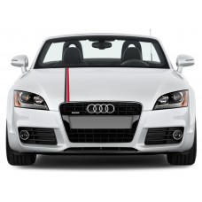 Audi Motorsport Rally pruga naljepnica 5cm x 125cm