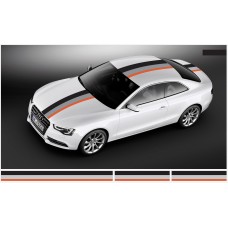 Audi Motorsport Rally pruge naljepnica 30cm x 500cm (2 30cm x 130cm, 1 30cm x 240cm)
