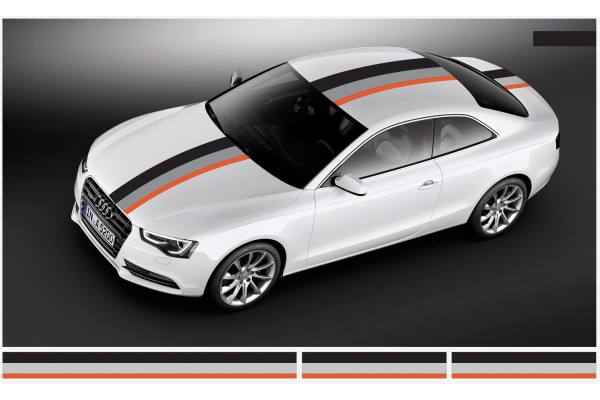 Audi Motorsport Rally pruge naljepnica 30cm x 500cm (2 30cm x 130cm, 1 30cm x 240cm)