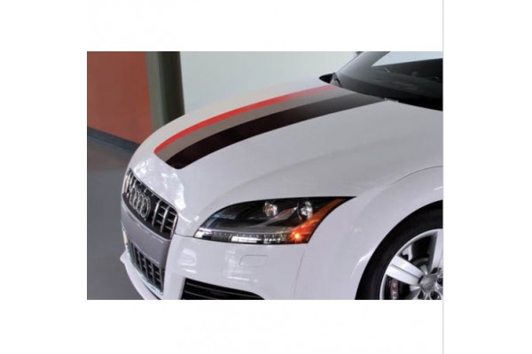 Audi Rally pruge naljepnica Performance Power 30cm x 125cm