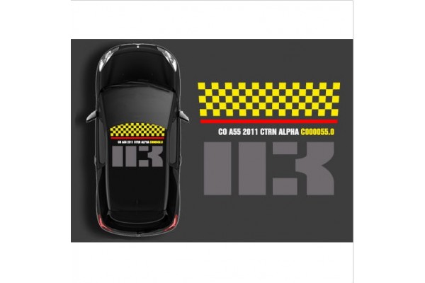 Citroen Sport DS3 krovna naljepnica set C1 C2 C3 C4 C5 C6