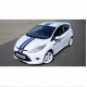 Ford Fiesta racing pruge Racing pruges naljepnica set S1600 Limited Edition