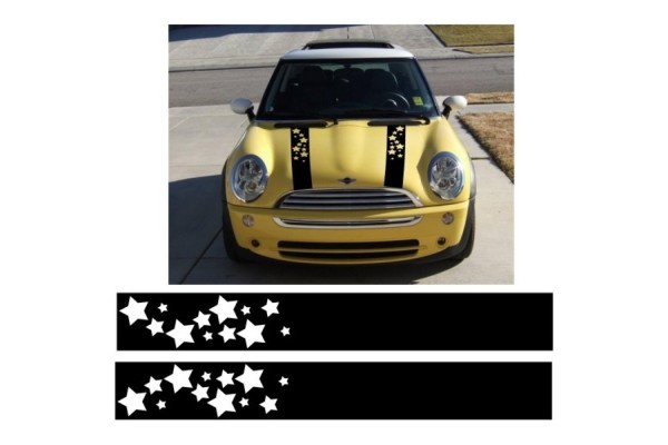 Mini pokrovna pruge racing pruge