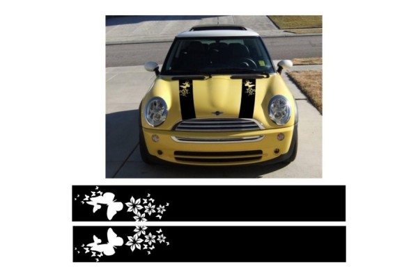 Mini pokrovna pruge racing pruge