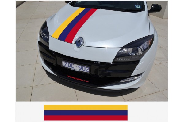 Renault Rally pruge naljepnica 30cm x 125cm