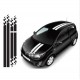 Renault racing pruga Racing pruga naljepnica set Twingo Clio Gordini Sport