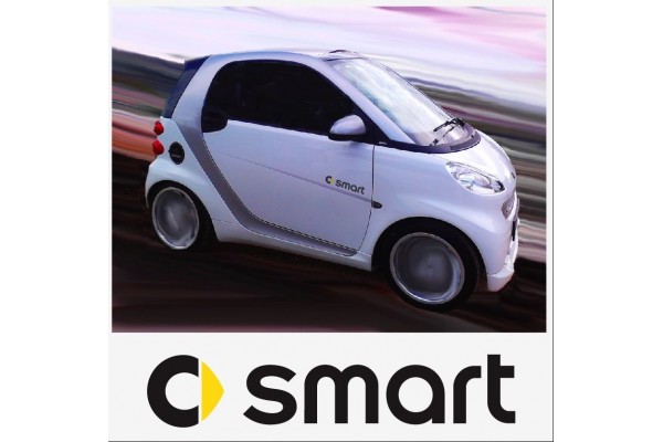 Smart Logo bočna naljepnica 2 kom. set 20cm