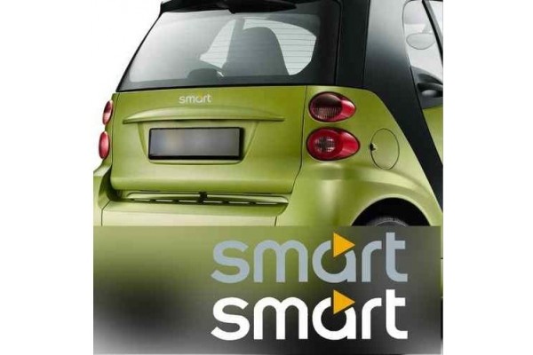 Smart naljepnica Emblem 2 kom. set 80mm bis 200mm